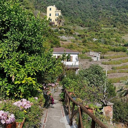 Villa Lardarina Corniglia Exterior foto