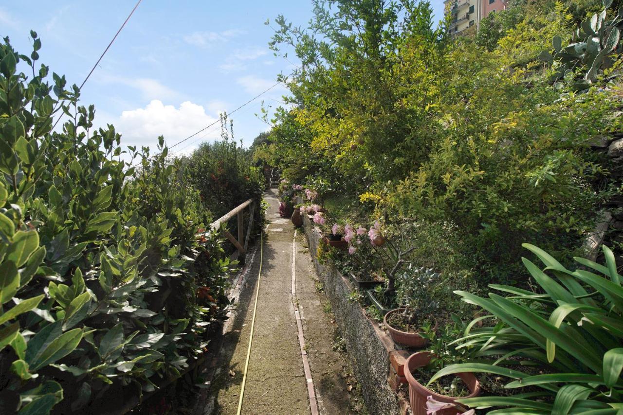 Villa Lardarina Corniglia Exterior foto