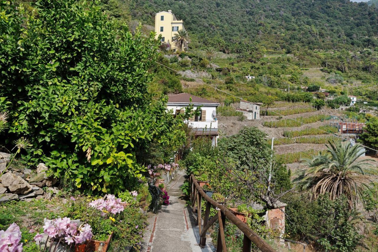 Villa Lardarina Corniglia Exterior foto