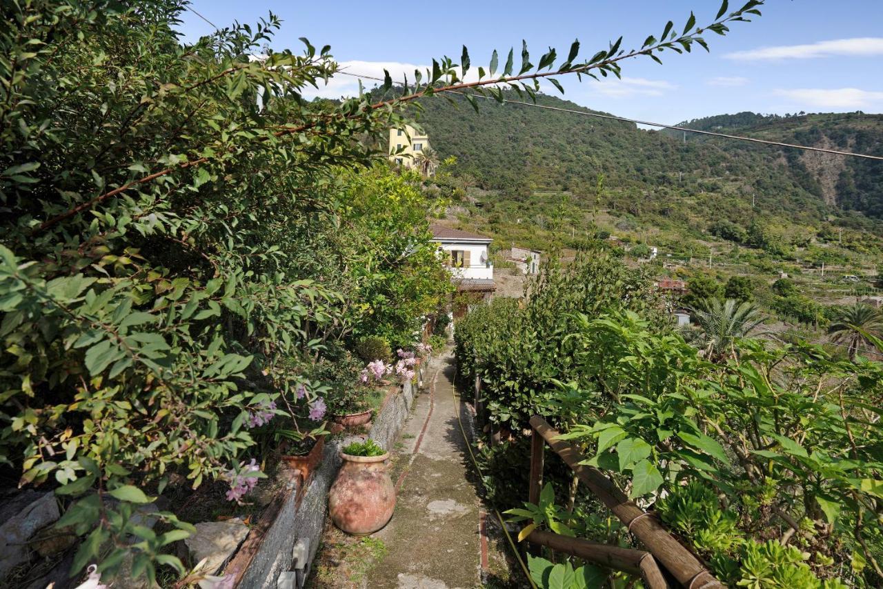 Villa Lardarina Corniglia Exterior foto